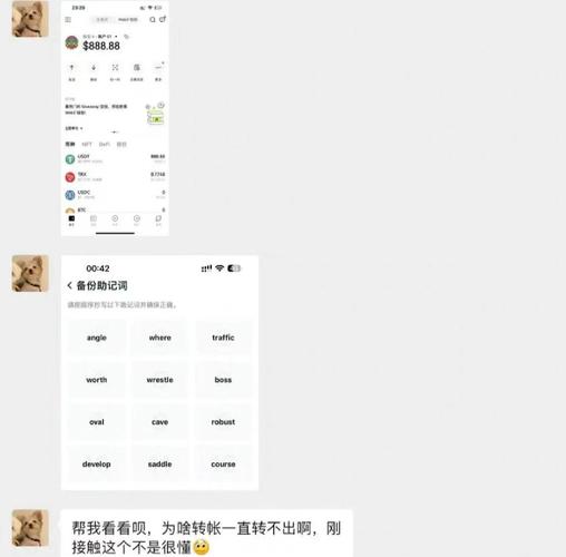 钱包应用_下载Bitpie钱包后的常见问题及解决方案_钱包app是干什么用的